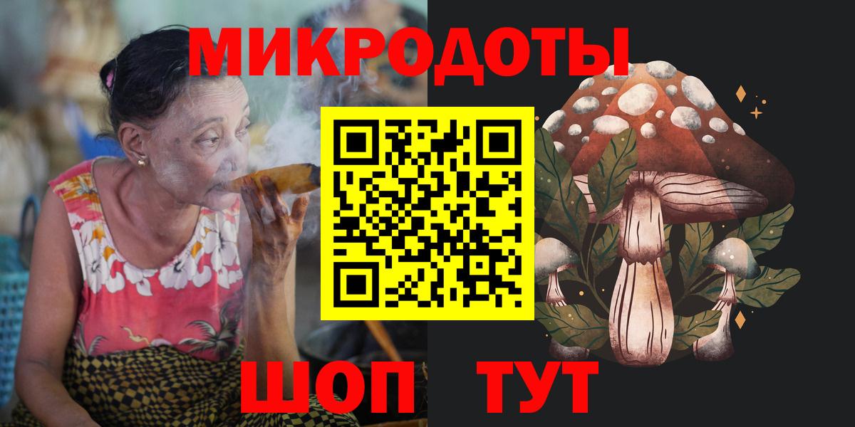 Псилоцибиновые грибы Cubensis Дятьково