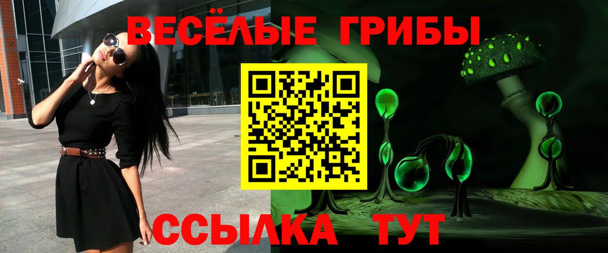 Псилоцибиновые грибы мицелий  Галлюциногенные грибы MAGIC MUSHROOMS  Дятьково  Вход с VPN 